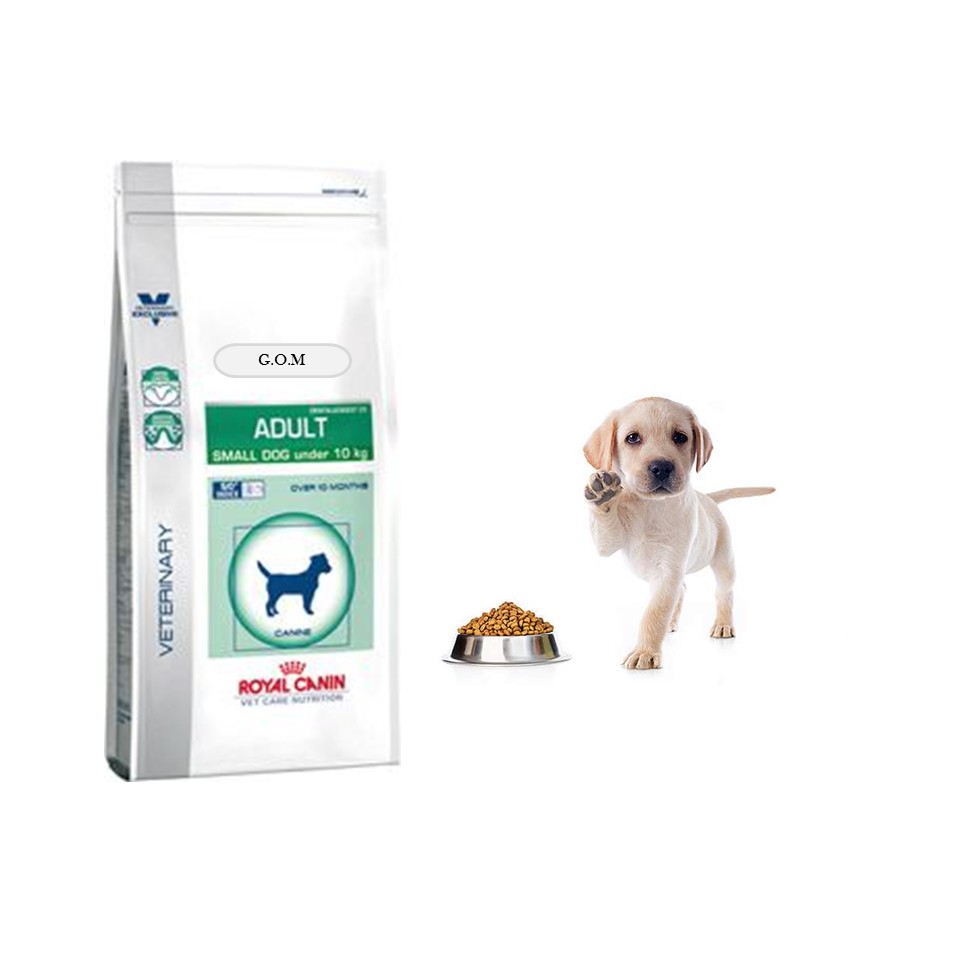 royal canin adult small dog