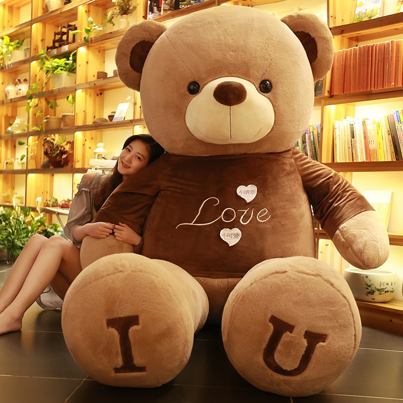 shopee teddy bear