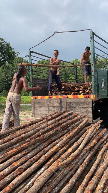 Kayu Bakau  Shopee Malaysia