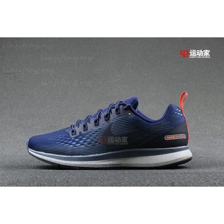 nike zoom shield pegasus 34