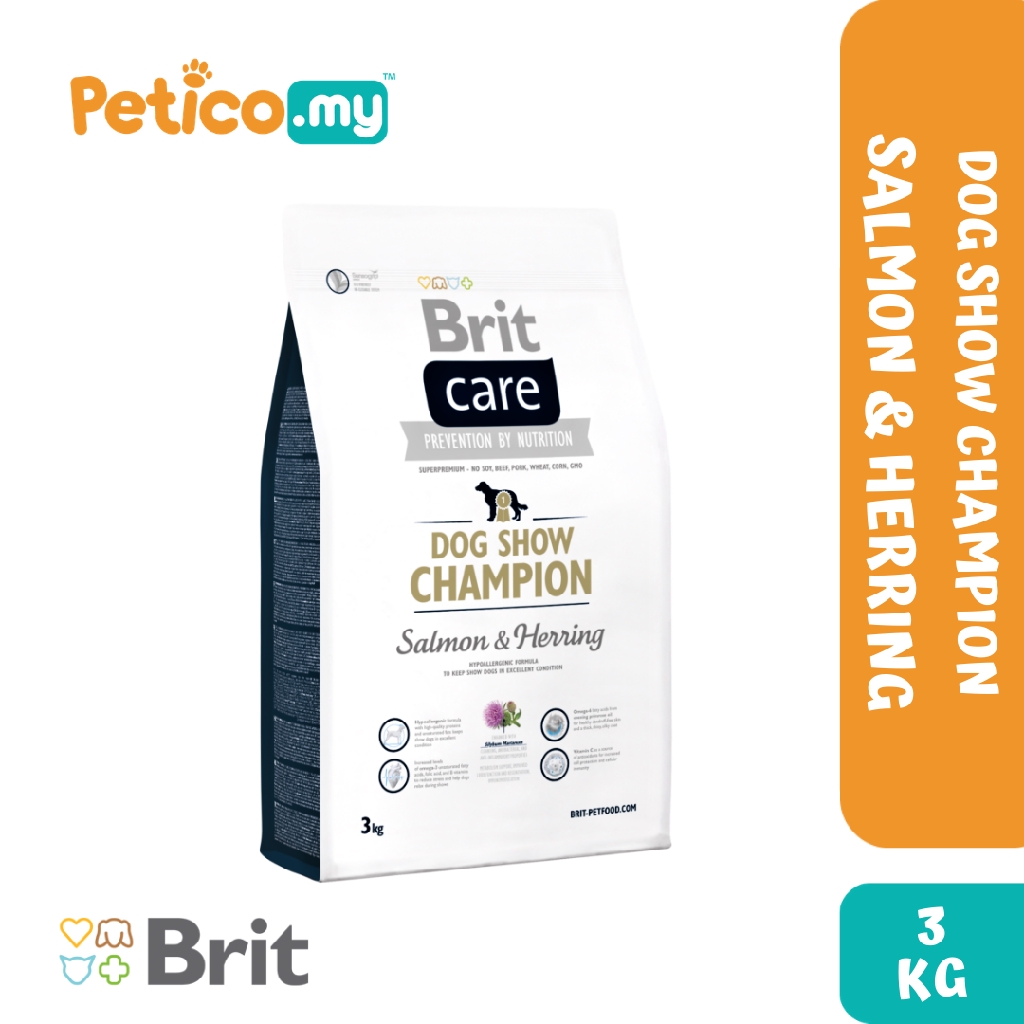 brit care show champion