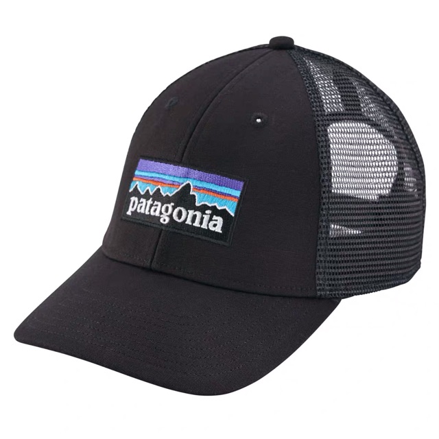patagonia dad cap