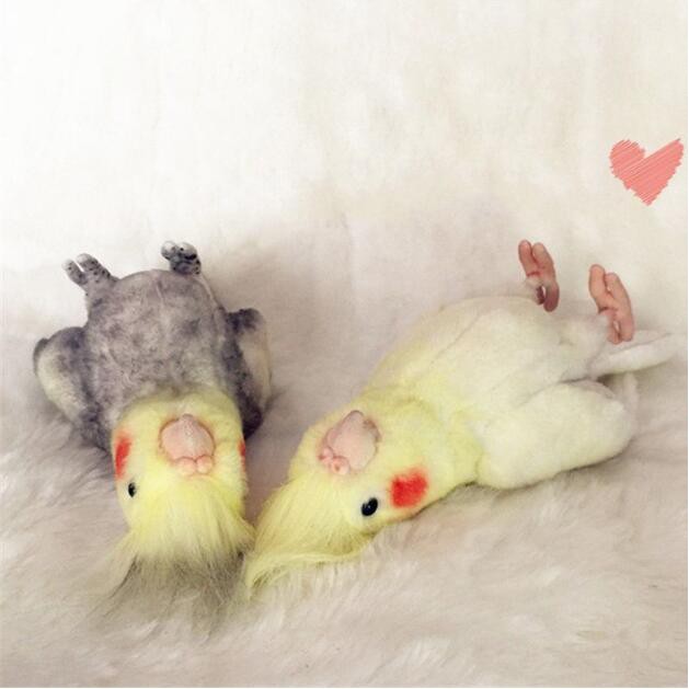 cockatiel plush