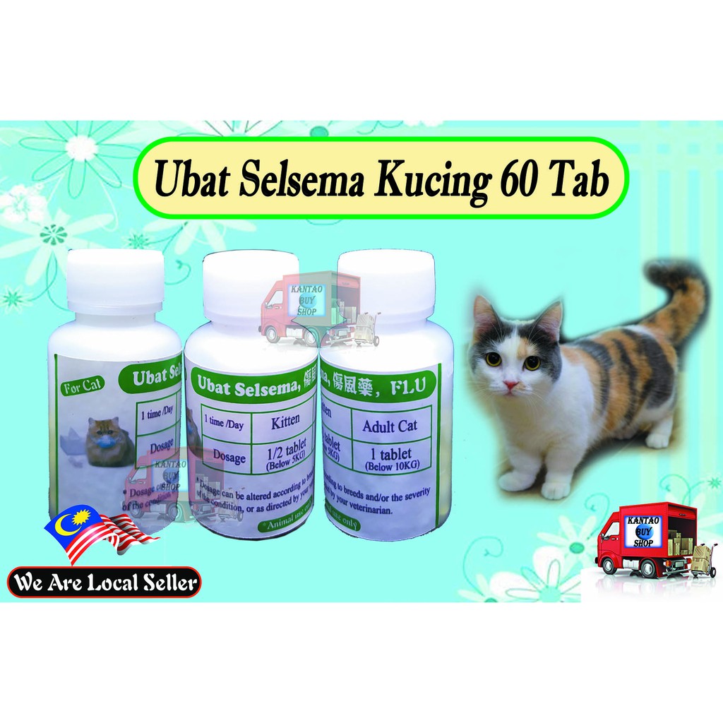 Wholesale Pack Ubat Selsema Kucing 60 Tablet  Shopee Malaysia