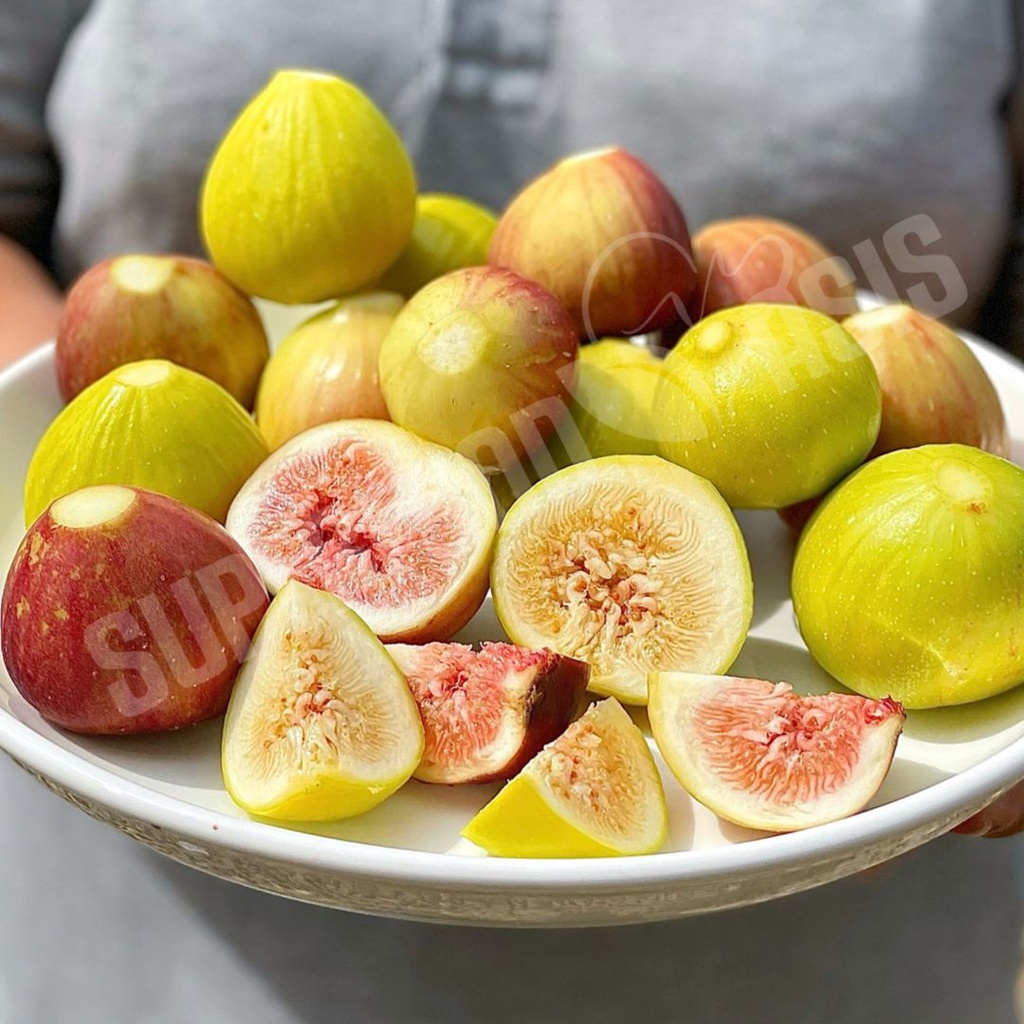 Fresh Figs | Buah Tin Segar | 新鲜无花果 (4pcs per pack)
