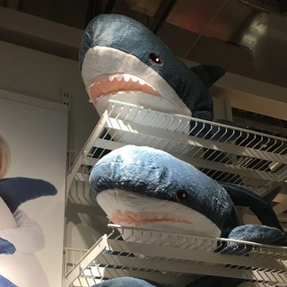 ikea shark teddy