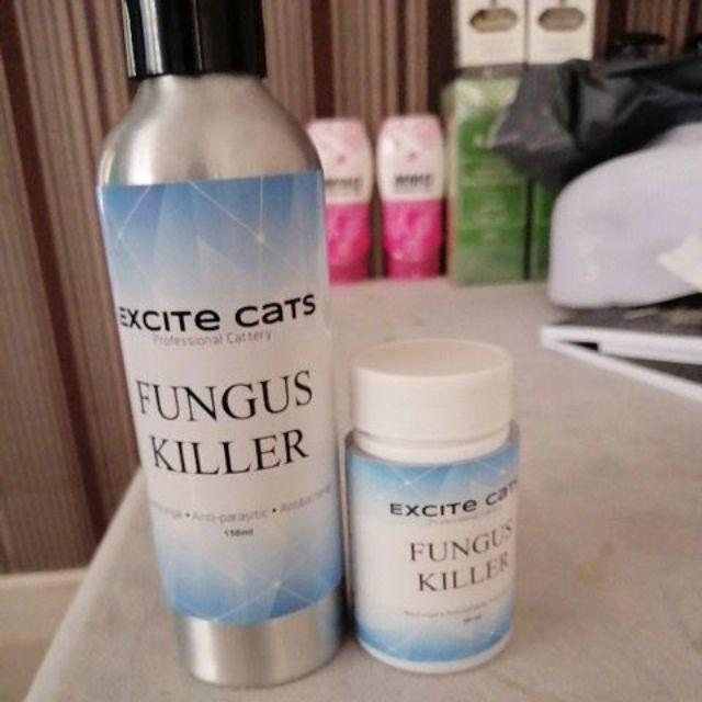 Fungus Killer VIP - ubat spray fungus kucing / ubat kurap 