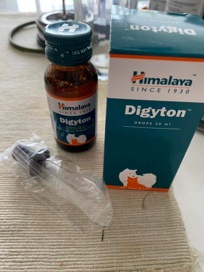 Himalaya Digyton For Cat Dog 30ml Shopee Malaysia