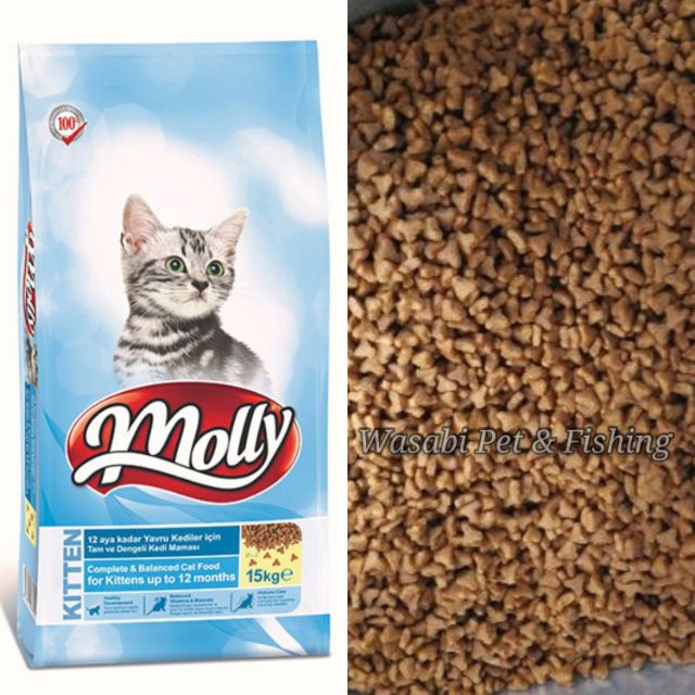 molly cat food