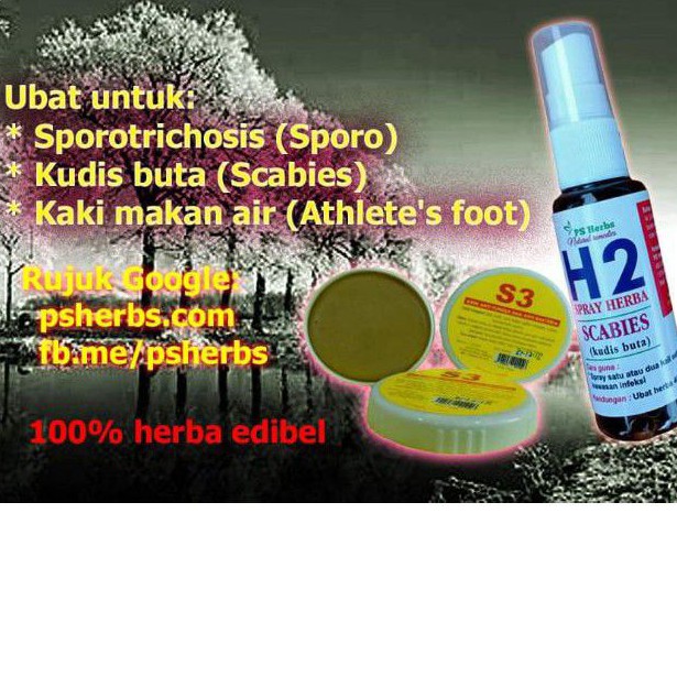 Ubat Viral H2 Set Krim S3 Ps Herbs Natural Remedies Kudis Buta Sporo Dan Lain2 Shopee Malaysia