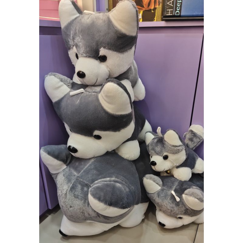 Ready stock Dog Husky 10cm~70cm stuffed toy cartoon doll kids plush toy patung birthday gift