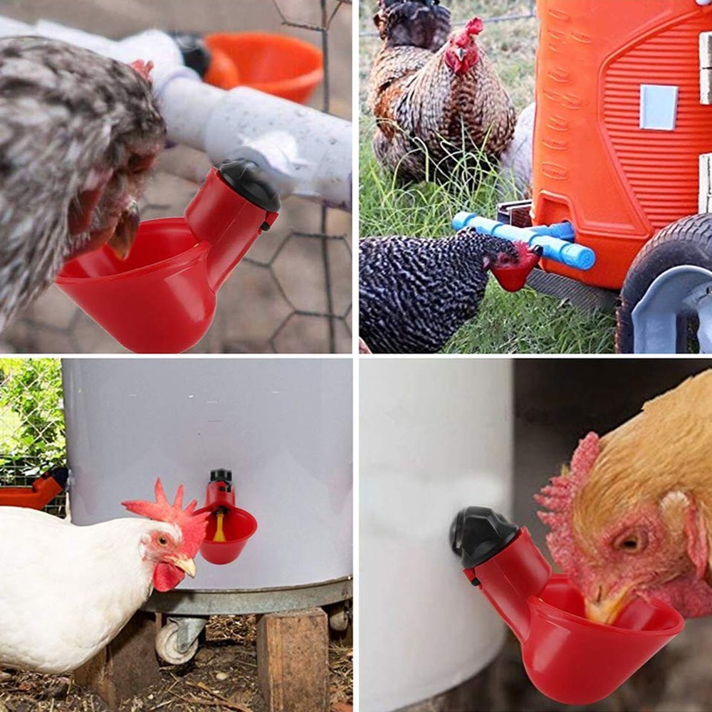 Time Limited Specials 50 Chicken Waterer Screw In Poultry Nipples Drinker Bird Drink Water Chook 