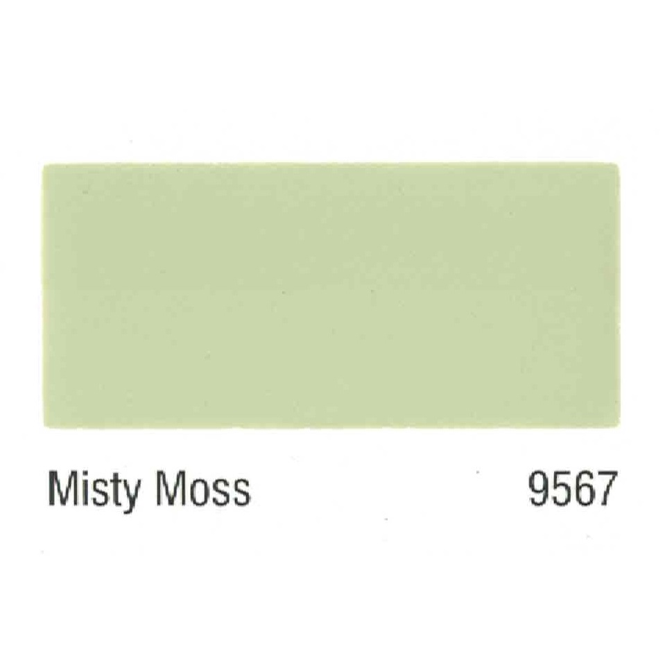 Misty Moss L Nippon Paint Multi Purpose Floor Coating Basketball Court Tennis Court