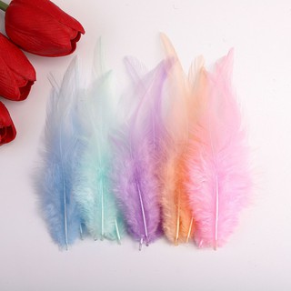 50pcs Feather (Bulu) 6-12cm Rooster Tail Feathers for dreamcatcher ...
