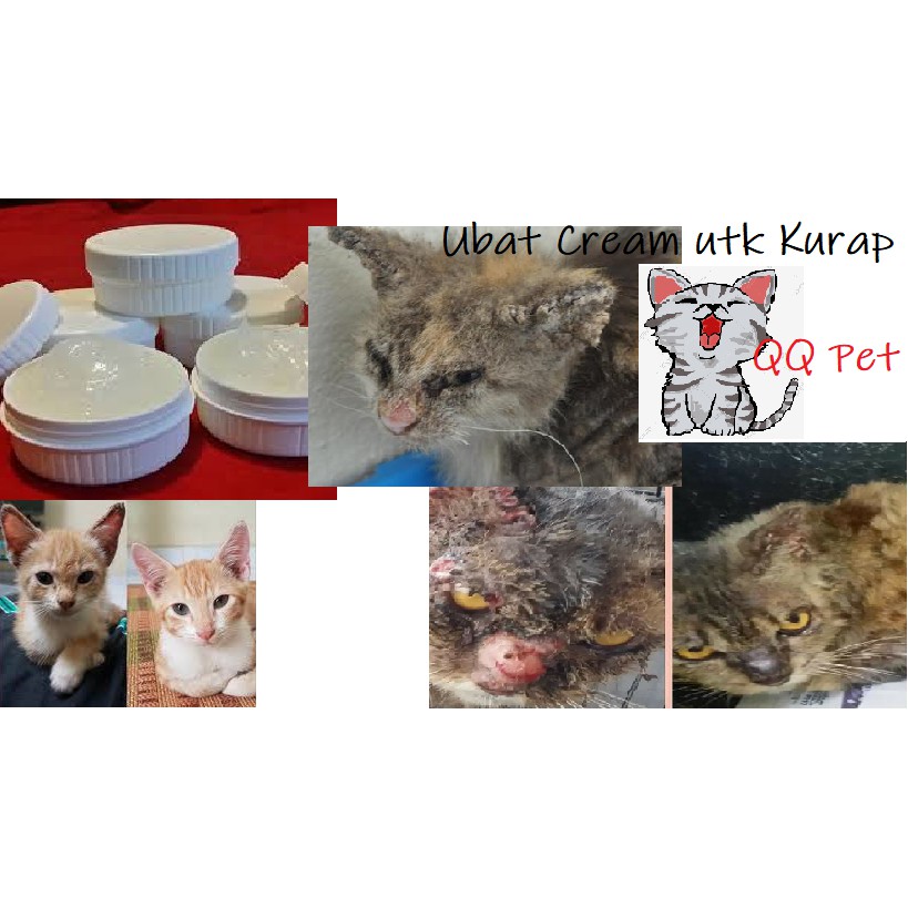 Ubat Kurap (Herbal Skin) untuk Kucing 7gram