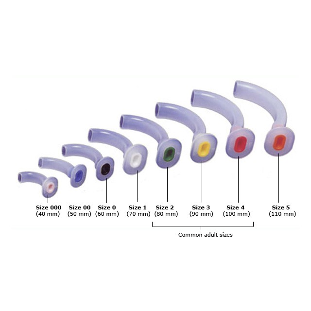 oropharyngeal airway measurement