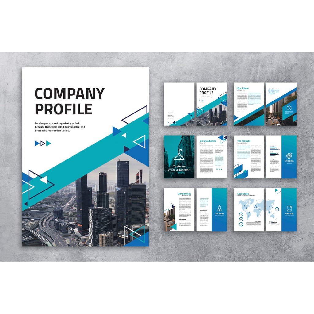 Company Profile Template/Business Brochure Template ...