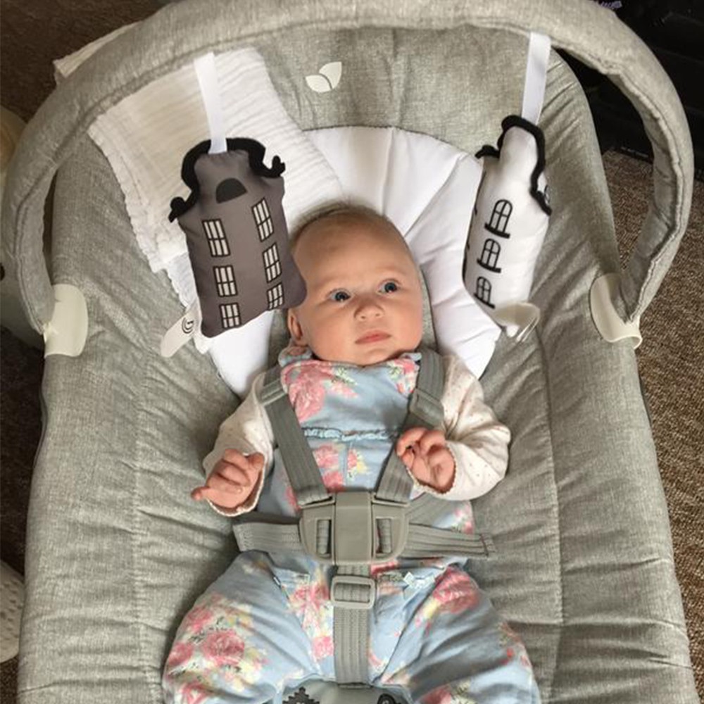 joie wish baby bouncer petite