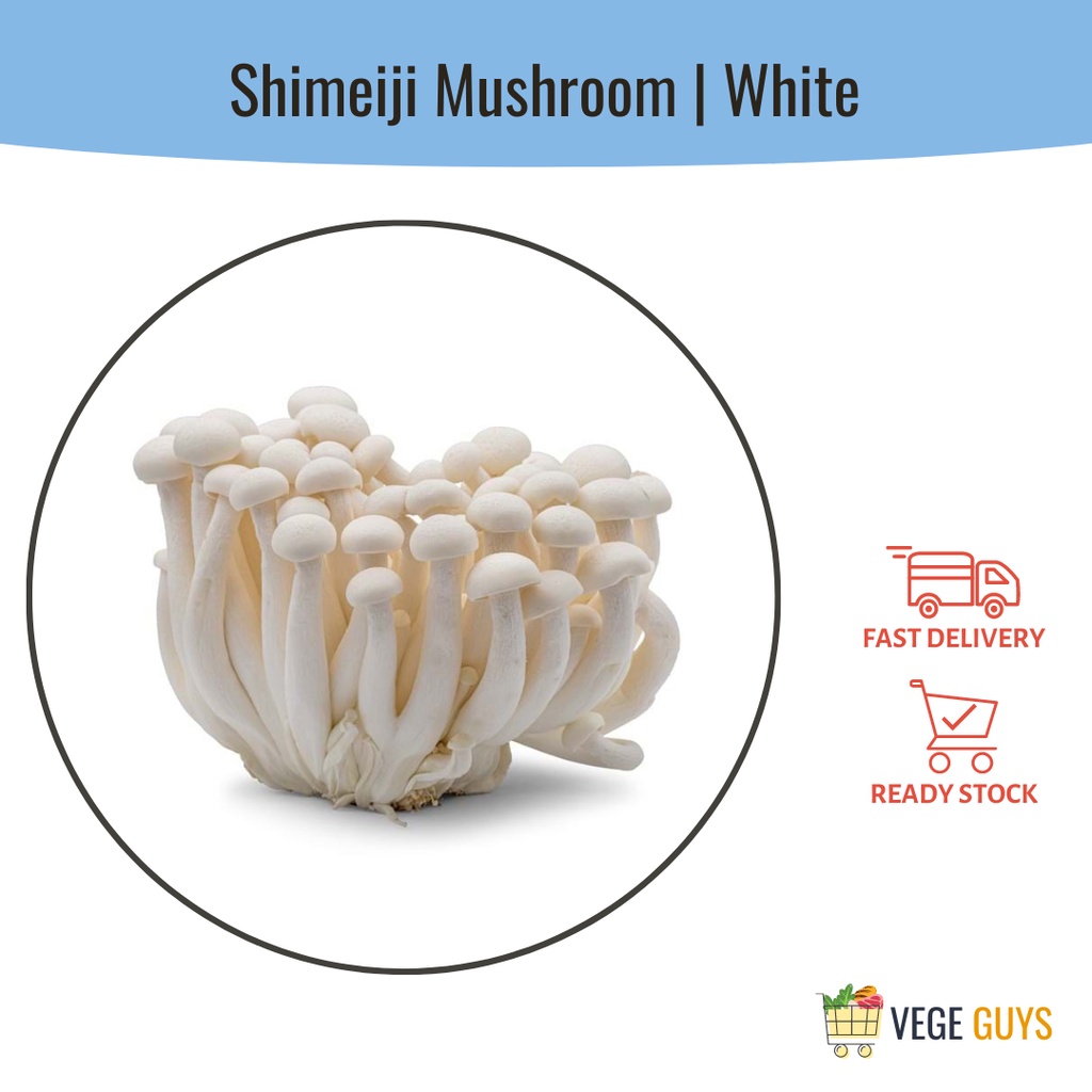 Shimeji Mushroom White 白灵菇 (+/-125g)