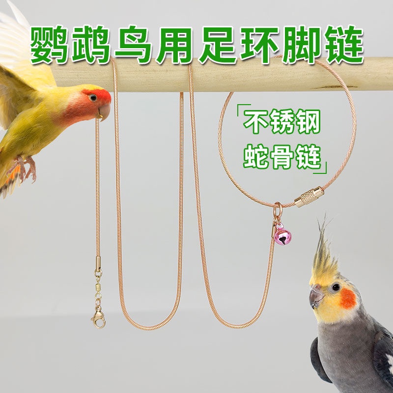 Essential Versatile Stainless Steel Parrot Foot Ring Tiger Skin Peony Xuanfeng Stand Bird Chain Use Anklet Flying Rop... - Image 3