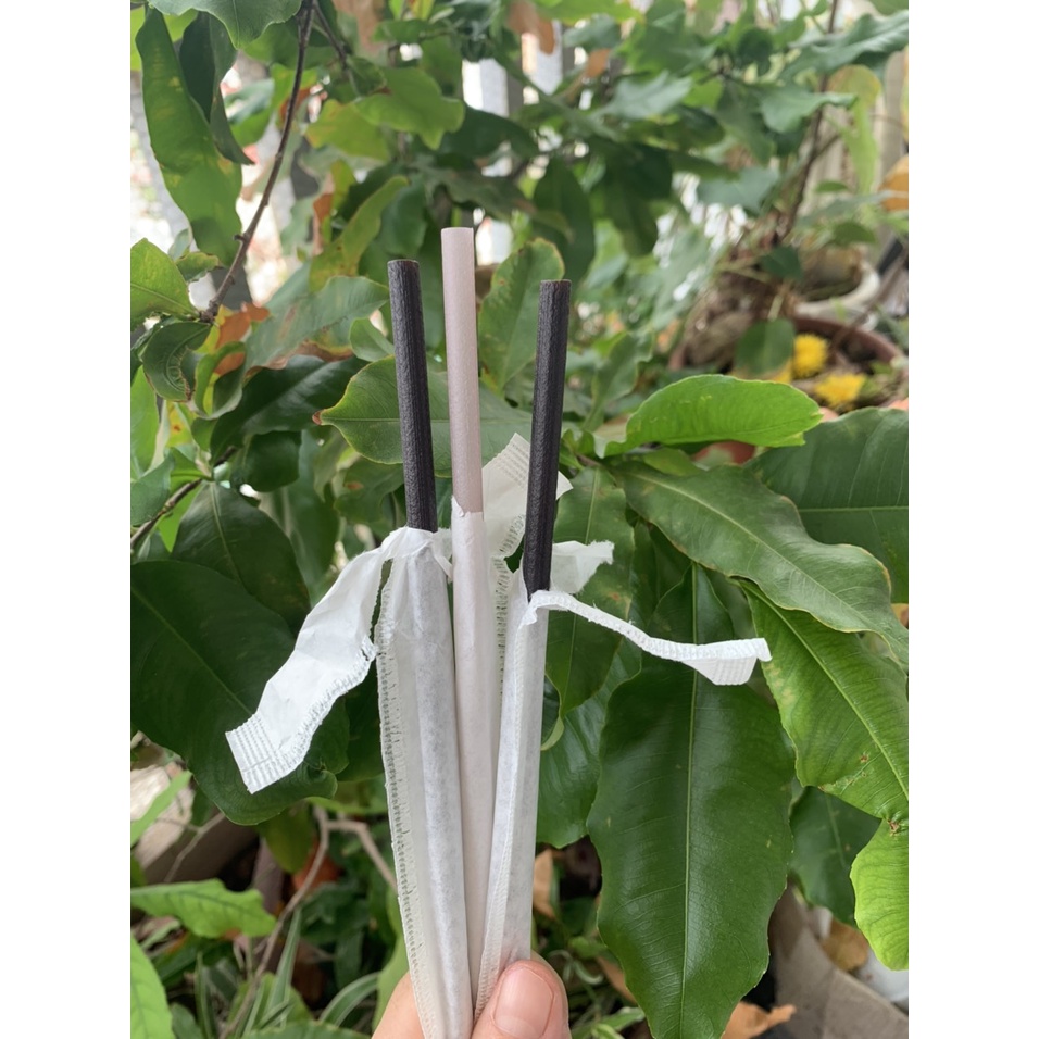 Chocolate Flavored Cereal Straw size 6mm (50 Tubes / Box) Shopee Malaysia