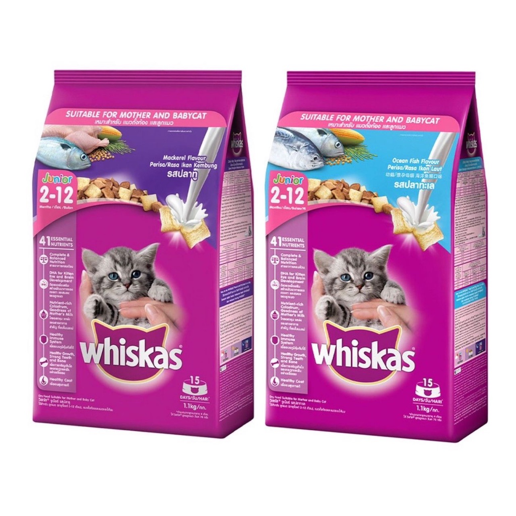 Whiskas Junior Ocean Fish / Mackerel Flavour with Milk Kitten Food 1