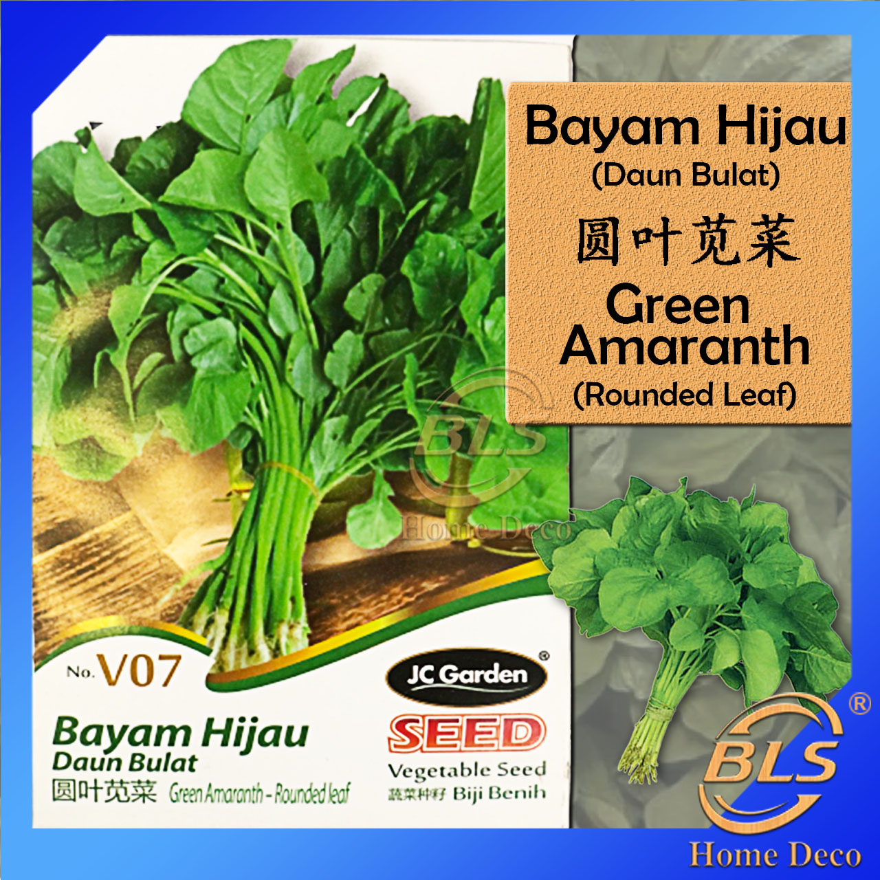V07 GREEN AMARANTH ROUNDED LEAF JC GARDEN VEGETABLE SEED V07 GREEN AMARANTH ROUNDED LEAF JC GARDEN VEGETABLE SEED