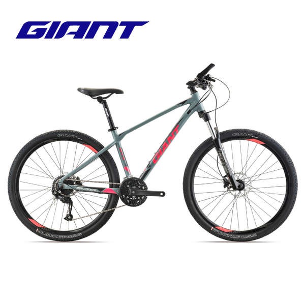 giant basikal