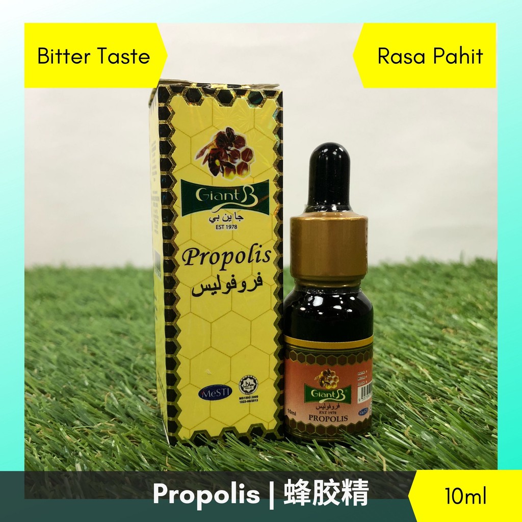 【PROPOLIS】Giant B Propolis Liquid Drop ` 蜂胶精 10ml | Shopee Malaysia