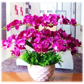 Artificial Flower Orchid Bunga  Orkid Hiasan  Viral  Shopee 