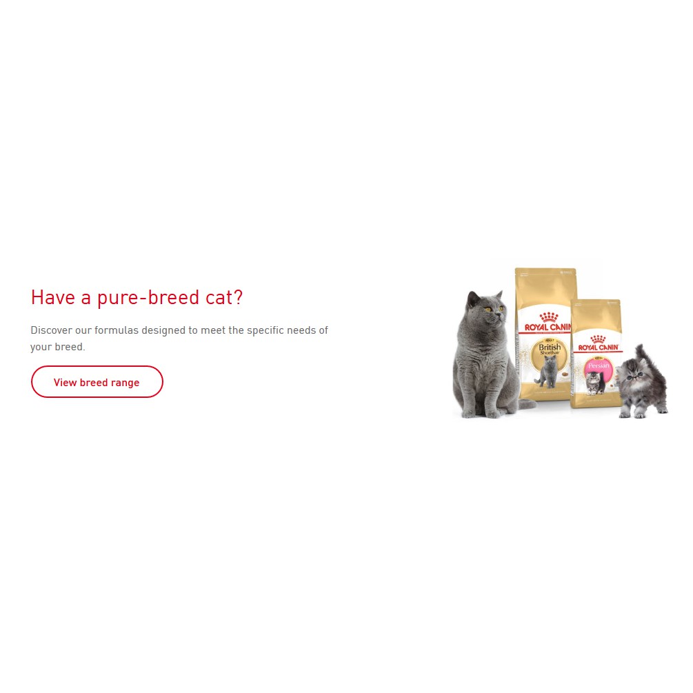 Buy (CityPets) Royal Canin Dry Food 400g /Fit /Persian / Kitten 