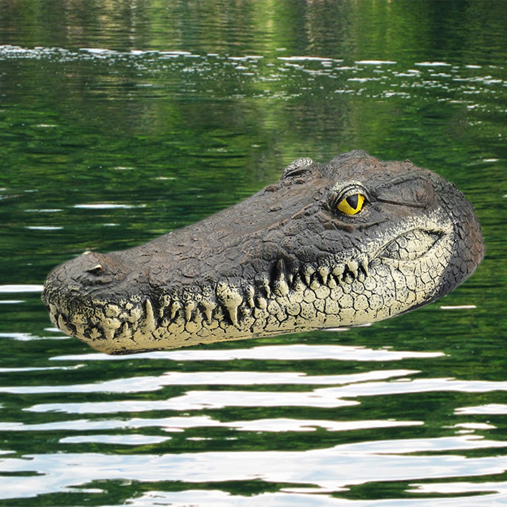 crocodile remote control head