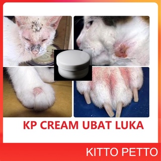 UBAT BATU KARANG KUCING DAN ANJING