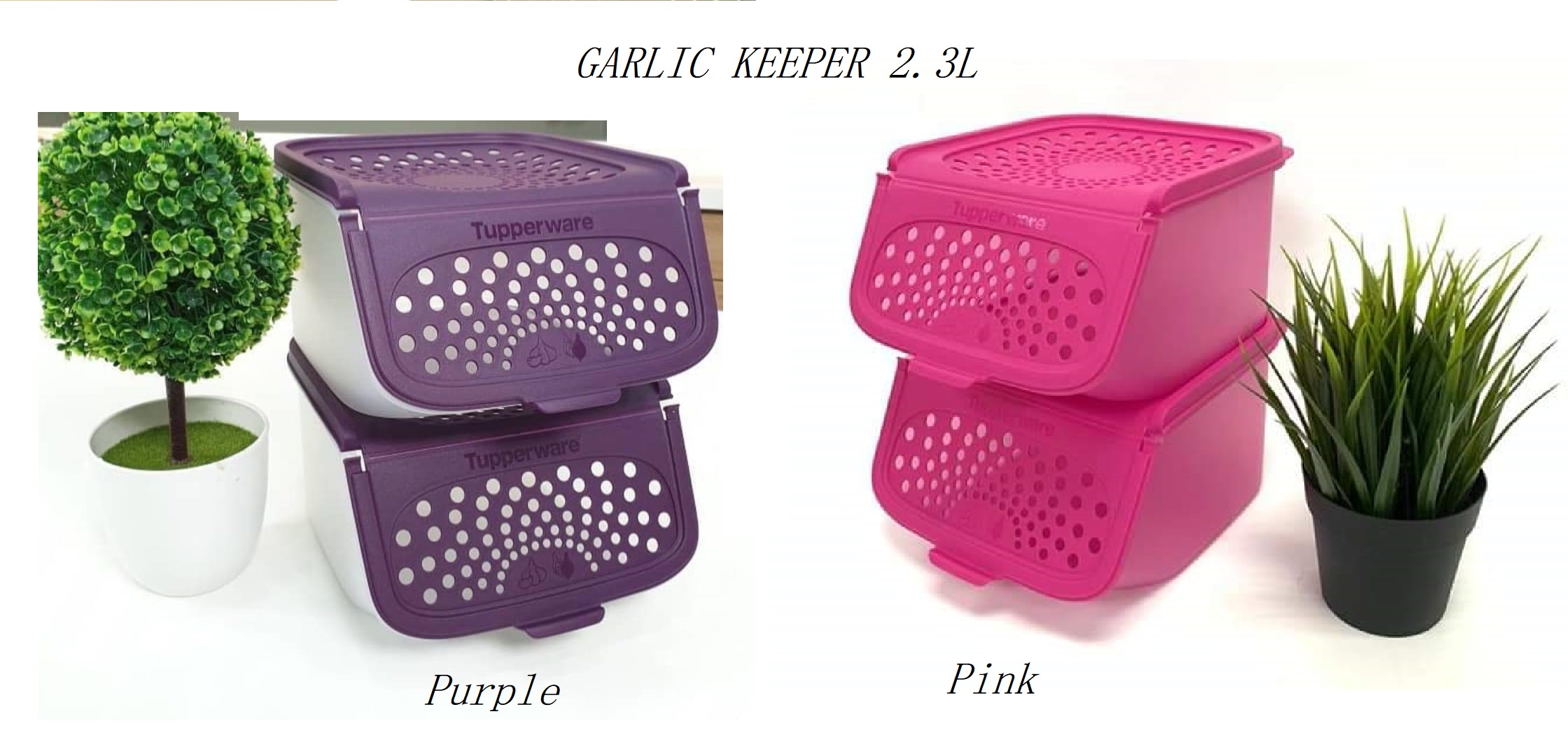 TUPPERWARE Garlic N All Keeper 2.3L (1pc)