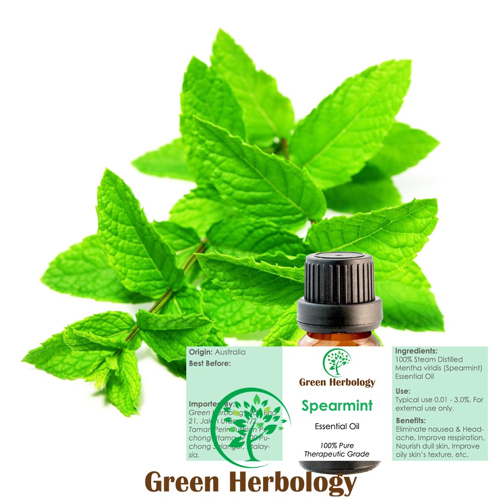 Pure and Natural Spearmint Essential Oil 5ml | Shopee Malaysia