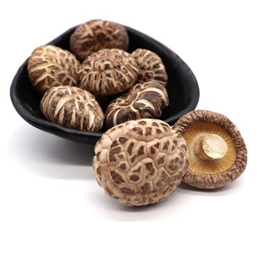 Tea Mushrooms Dried 100g 4 5cm 茶花菇 Shopee Malaysia