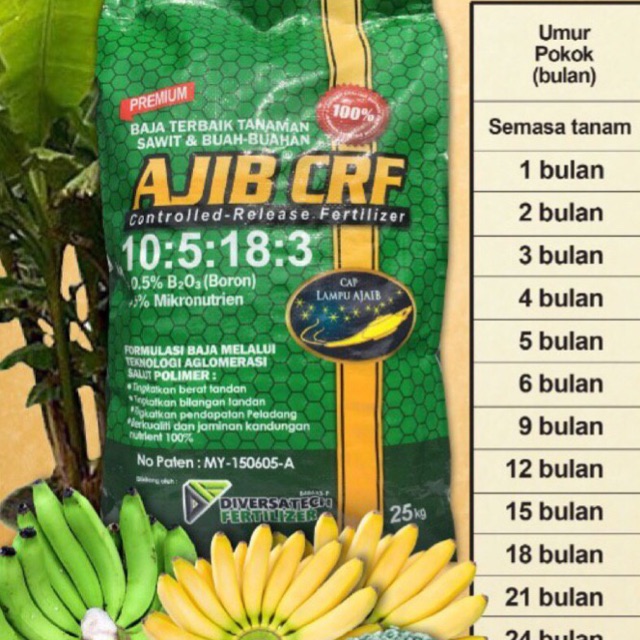 Baja Pokok Pisang 25kg Shopee Malaysia