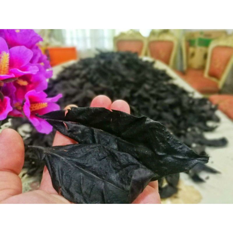 Daun Harimau Beranak Miracle Leaf Shopee Malaysia