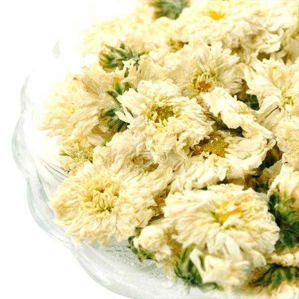 特级黄山贡菊（白菊花） 100g 清热排毒养肝7折优惠30% Florists Chrysanthemum HuanShan Gong Ju Hua  | Shopee Malaysia
