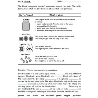 last minute checkpoint science special revision worksheet by topic with