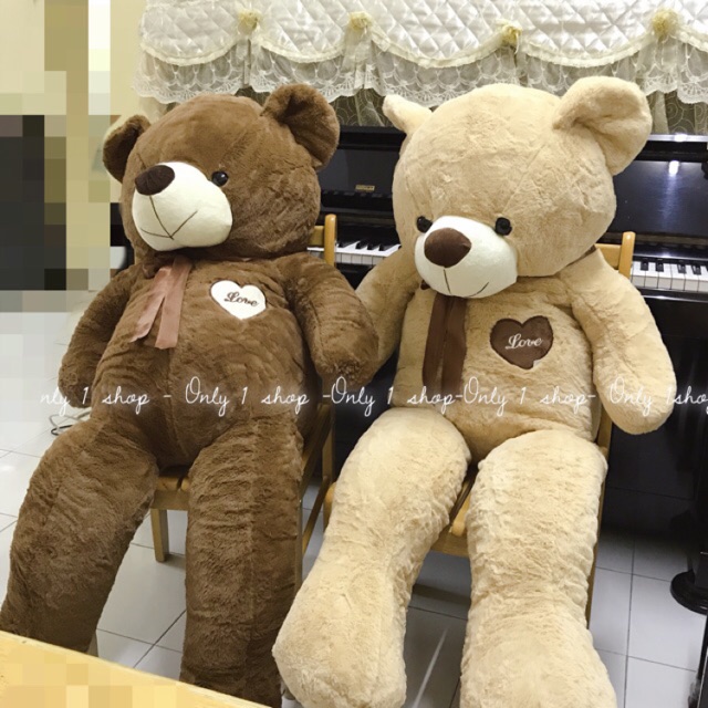 teddy bear shopee