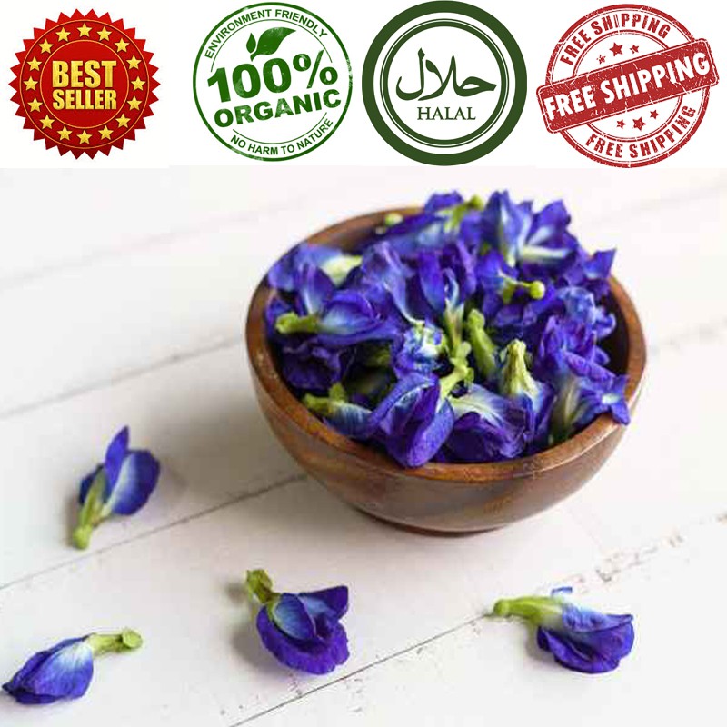 Blue Pea Flower Benefits Best Flower Site