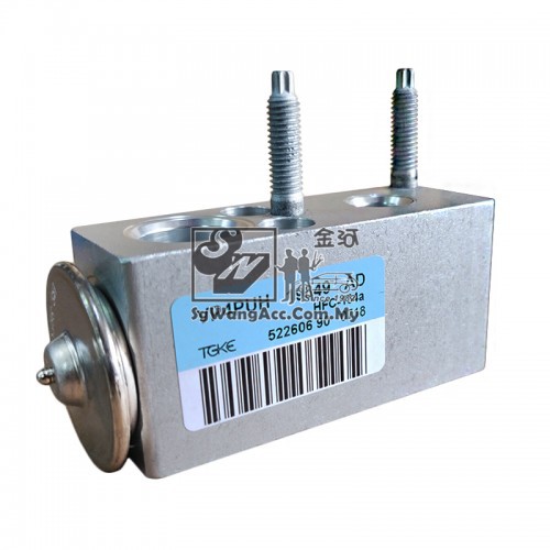 Peugeot 308 Air Cond Expansion Valve Shopee Malaysia