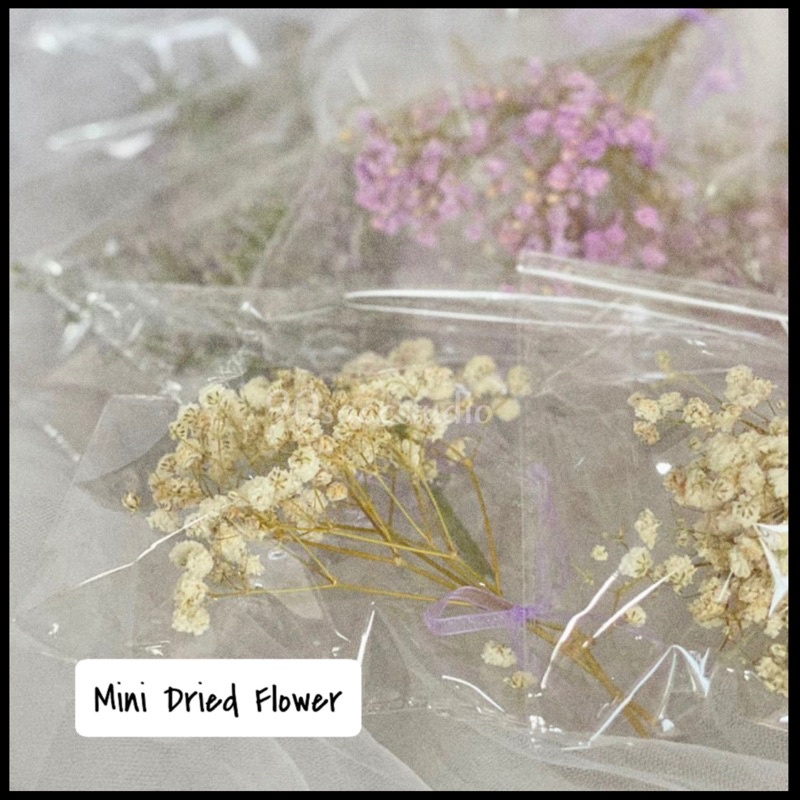 Mini Natural Dried Flowers Caspia Limonium Statice Baby Breath Bunny 