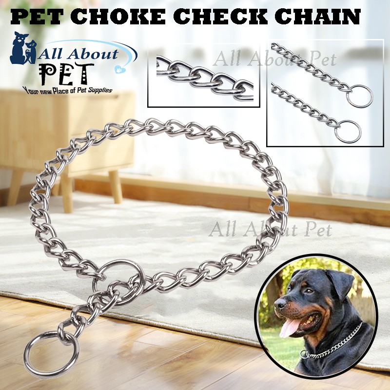 are chain leashes bad for dogs