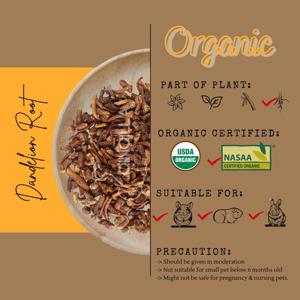 Organic Dried Dandelion Root 有机蒲公英根 snack for chinchillas, guinea pigs