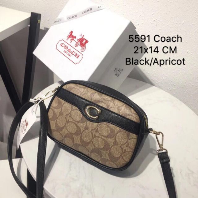 coach bag 2019 collection