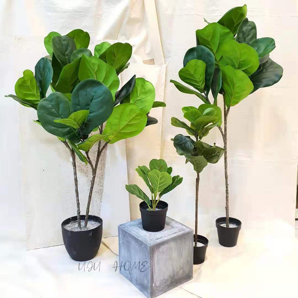 POKOK HIASAN FIDDLE FIG LEAF / ARTIFICIAL TREE /PLANT | Shopee Malaysia