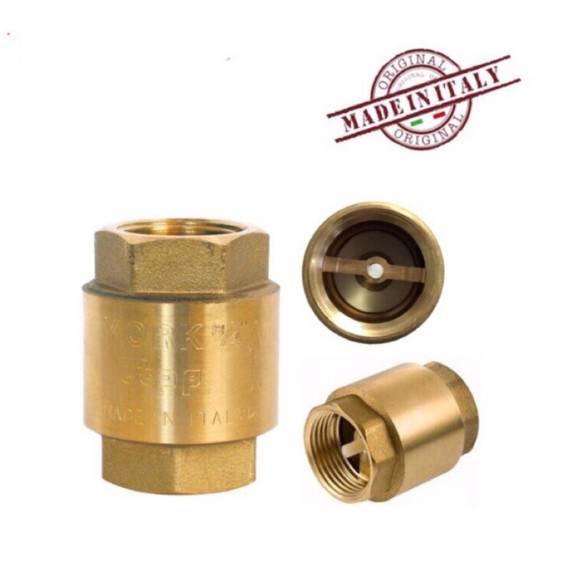 spring check valve