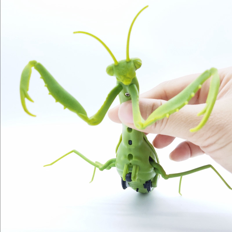 praying mantis toy